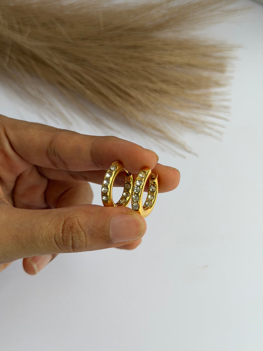 Earrings 1